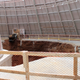 Illustration for article titled The National Corvette Museum Sinkhole Is Mesmerizing (And Real)